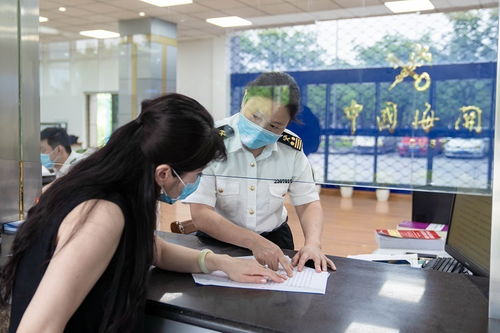 两步申报的概要申报可以修改吗